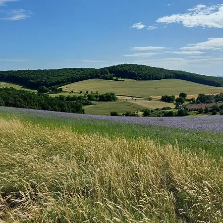 Castle View * كارلستين